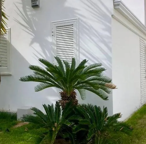 Bed & Breakfast Gassa D'amante 4*