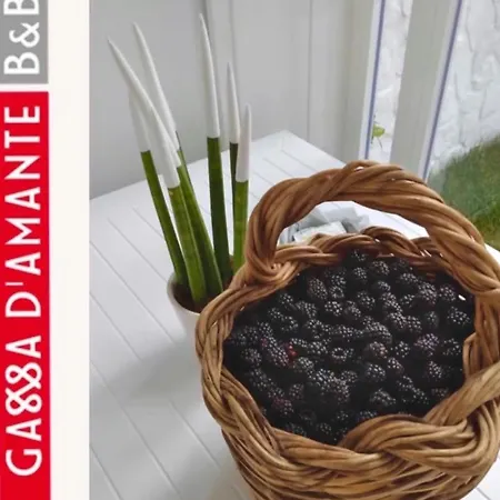 Panzió Gassa D'amante Vieste